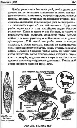 Современный Справочник Рыболова