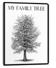 My Family Tree 3.0.0.0 x86-x64